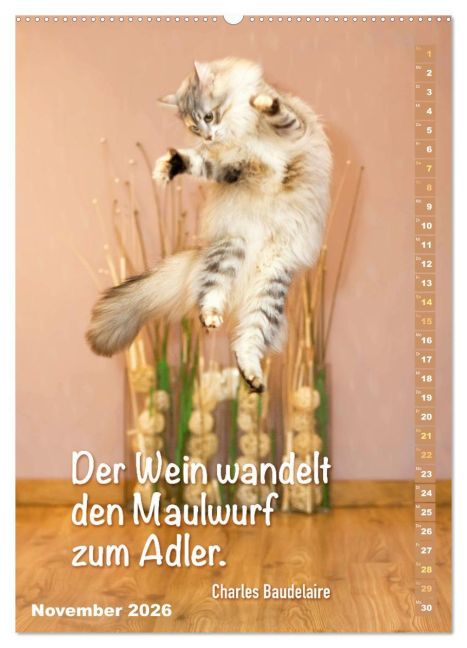 additionalImage3