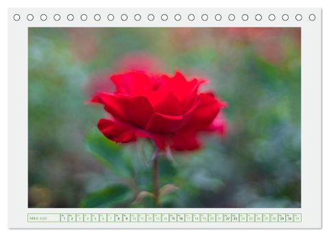 additionalImage8