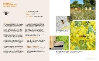 additionalImage6
