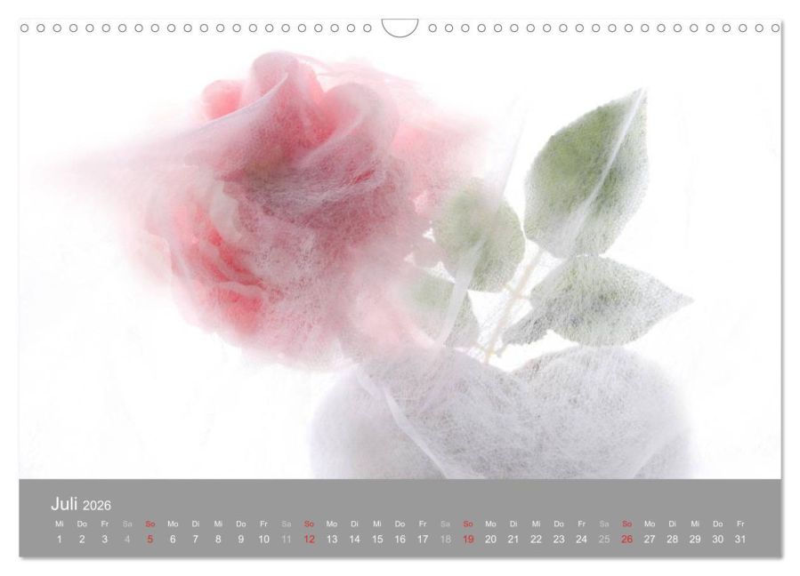 additionalImage12