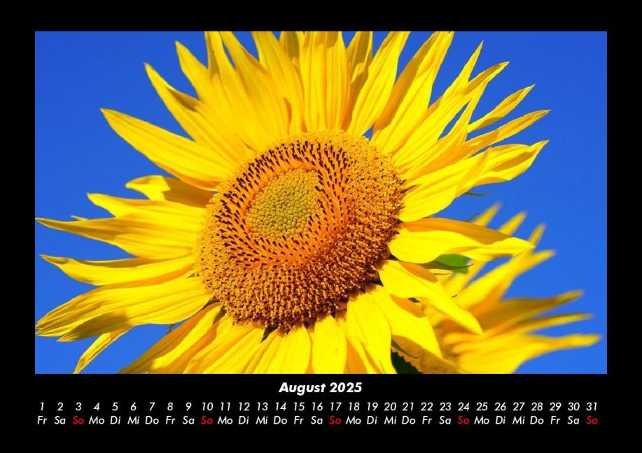 additionalImage12