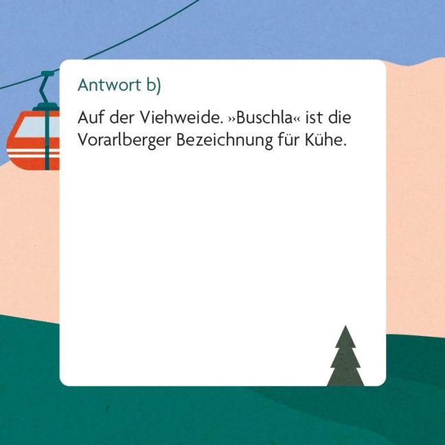 additionalImage6