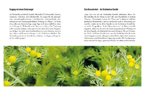 additionalImage7