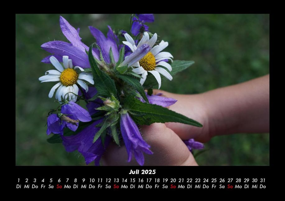 additionalImage11