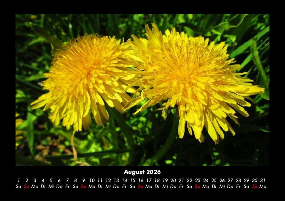additionalImage12