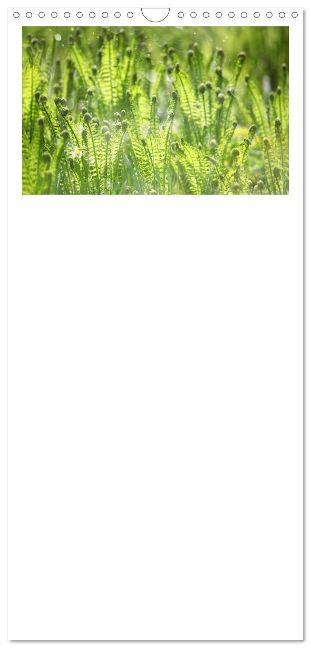 additionalImage2