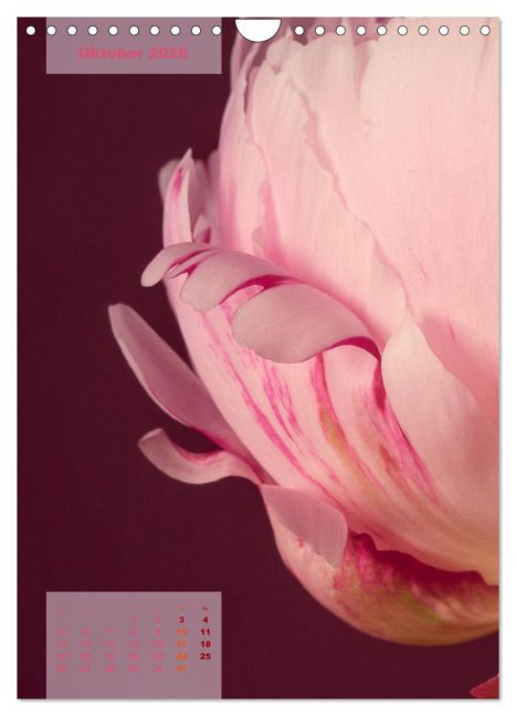 additionalImage2