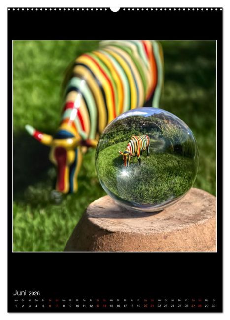 additionalImage11