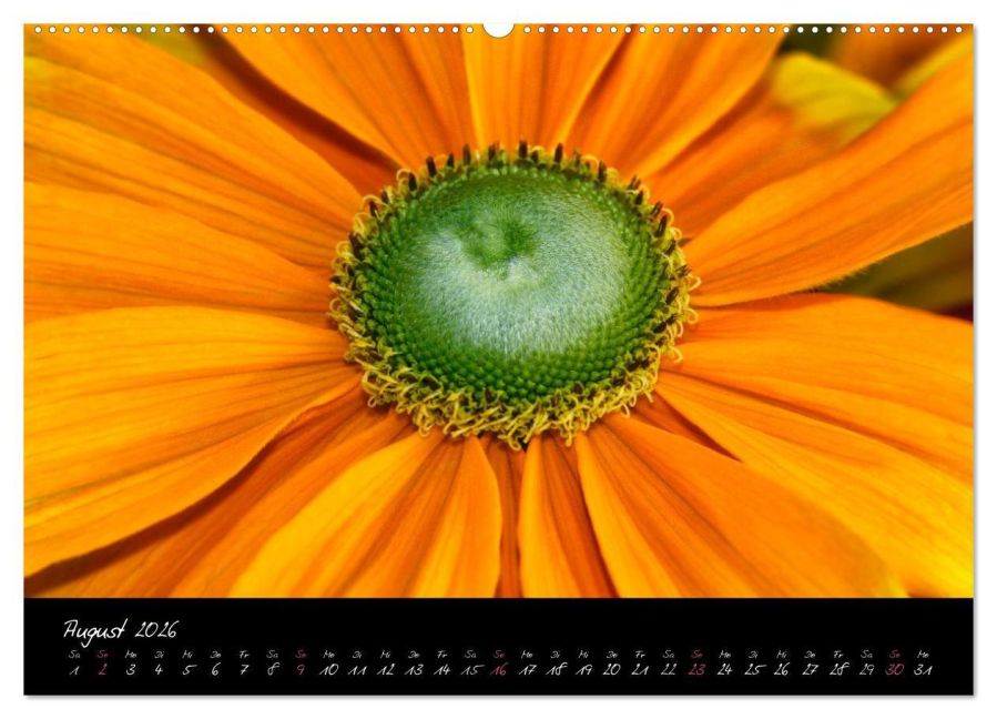 additionalImage13