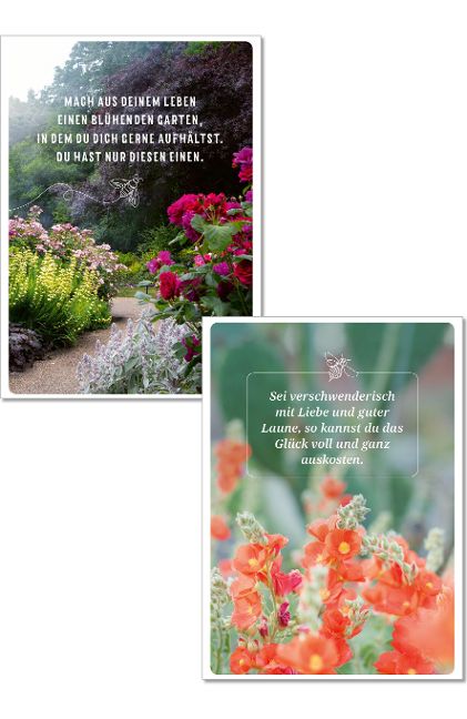 additionalImage2