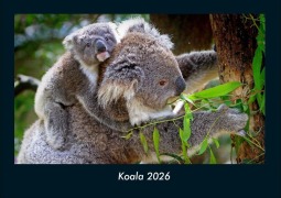 Cover-Bild zum Titel 'Koala 2026 Fotokalender DIN A4' von 'Tobias Becker'