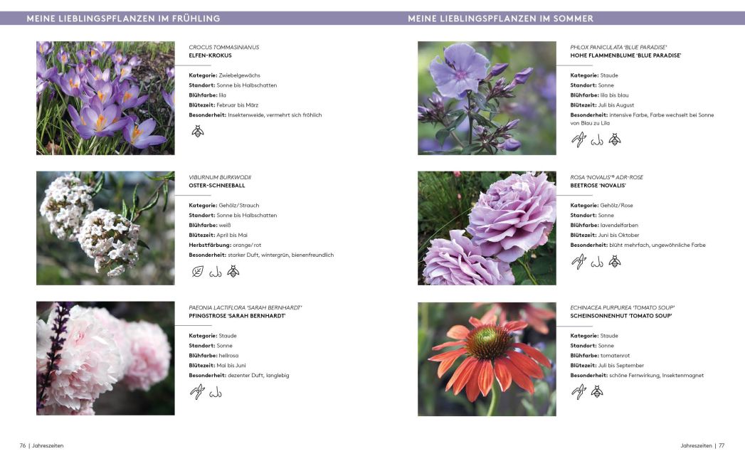 additionalImage6