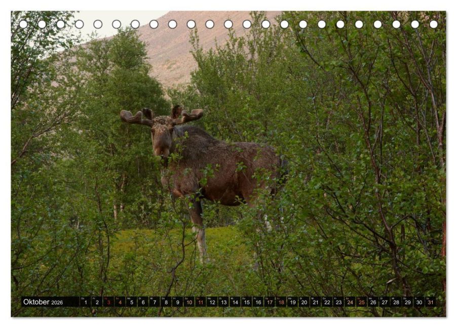 additionalImage2