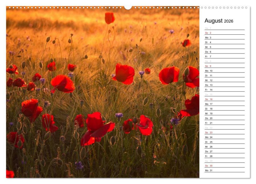additionalImage12
