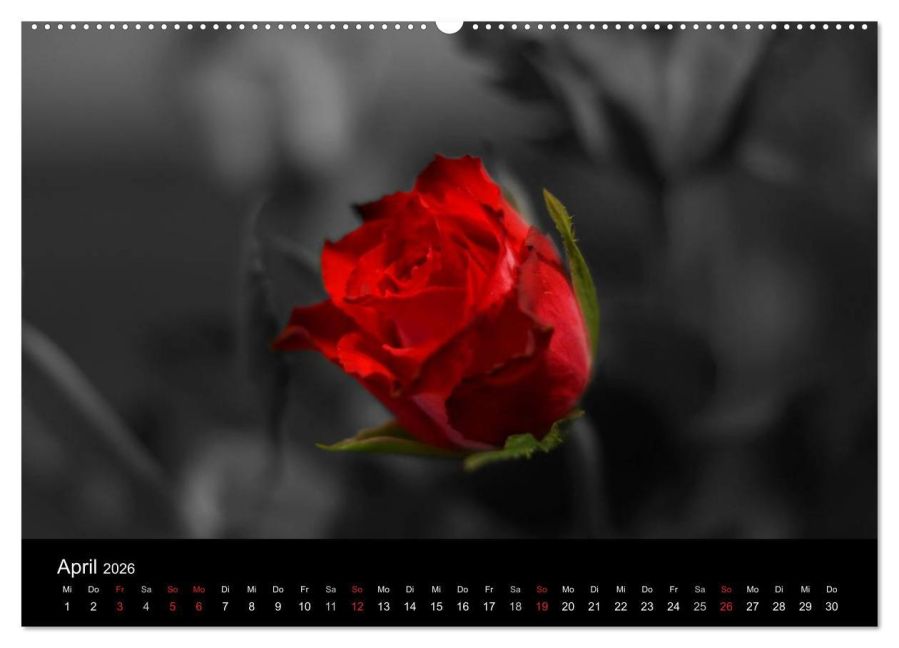 additionalImage9