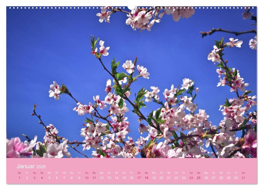 additionalImage5