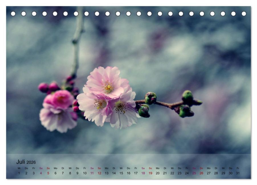additionalImage12