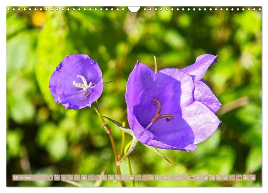 additionalImage8