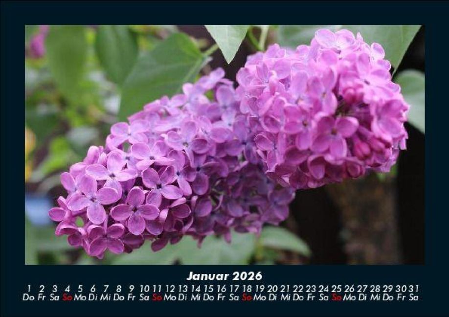additionalImage5