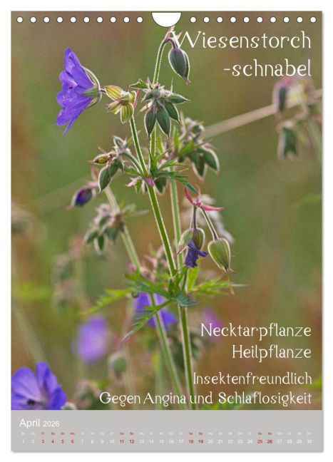 additionalImage9