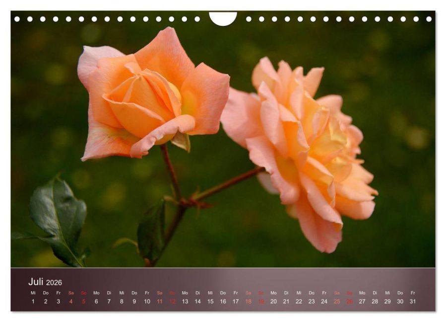additionalImage12