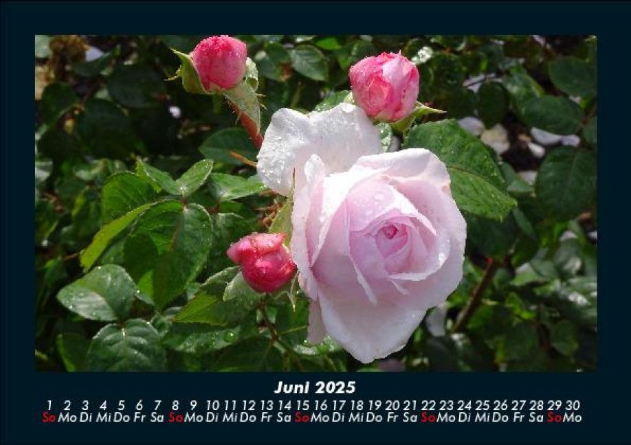 additionalImage10