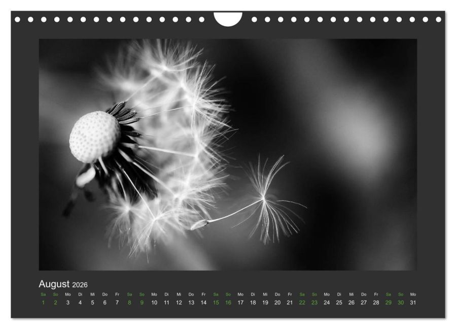 additionalImage13