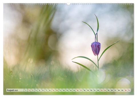 additionalImage12