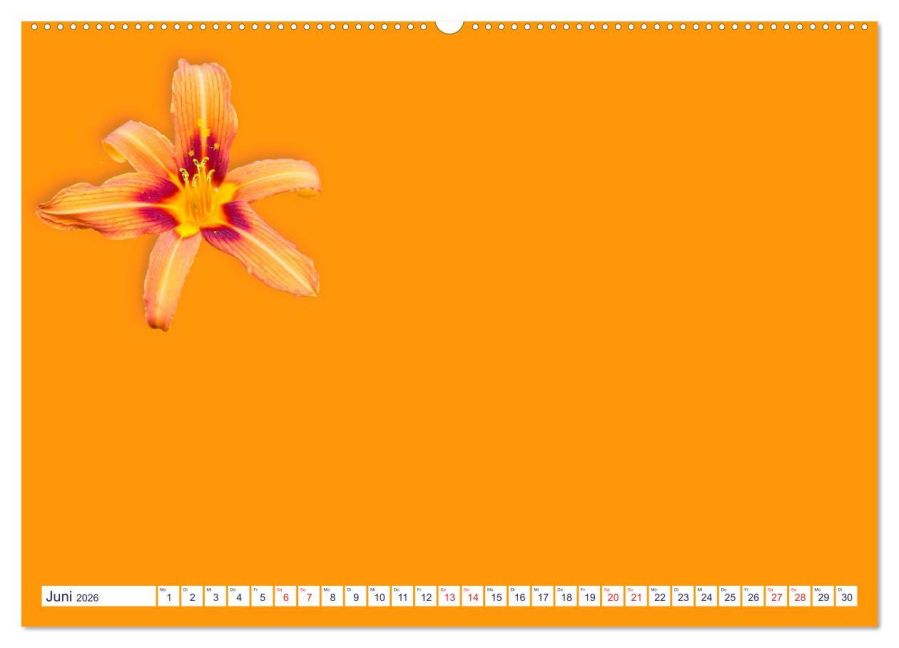 additionalImage10