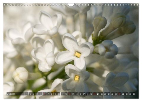 additionalImage12