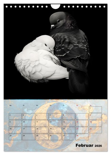 additionalImage7