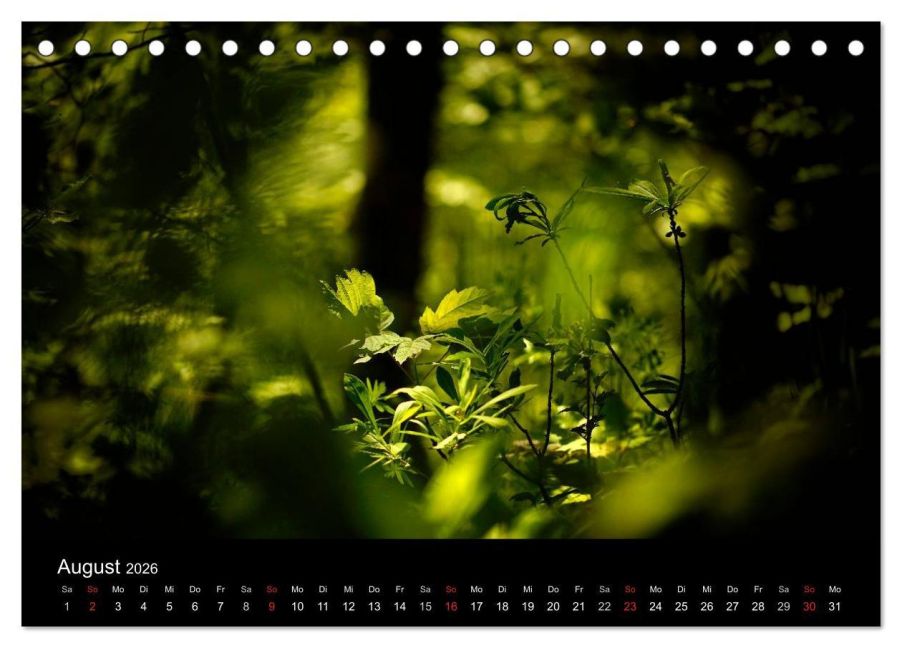 additionalImage13