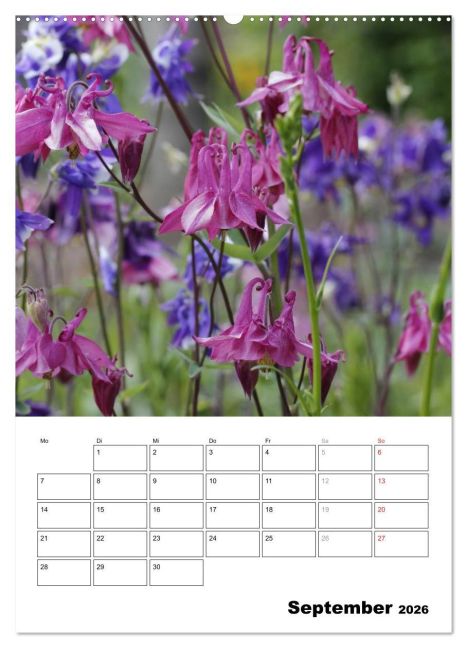 additionalImage13
