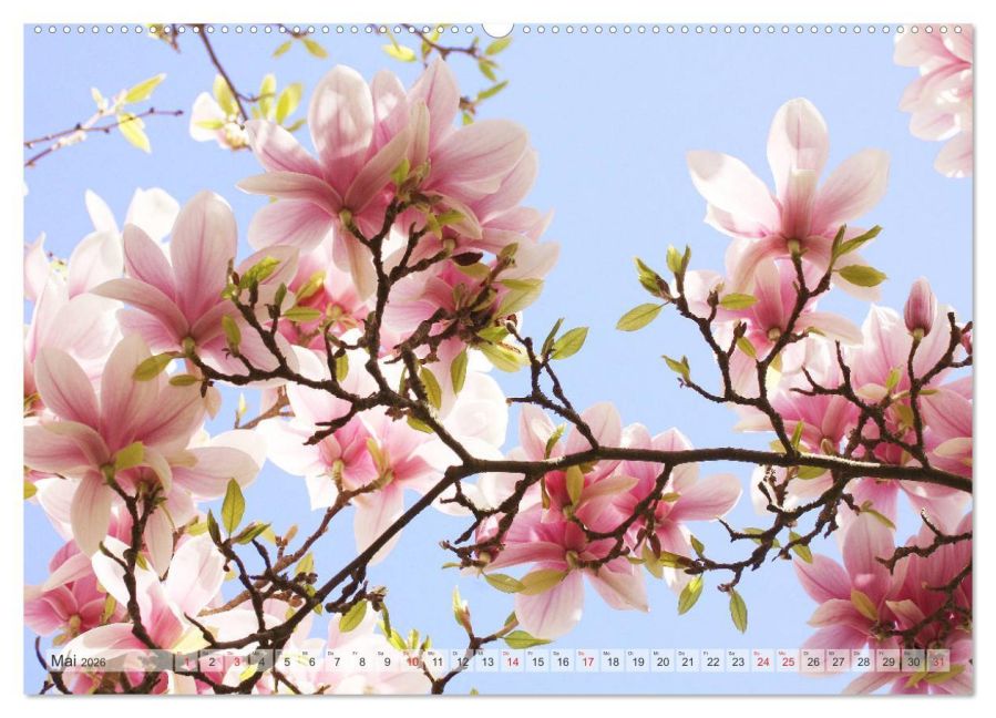 additionalImage10
