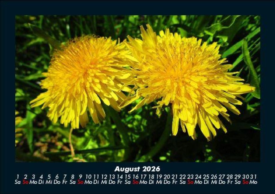 additionalImage12