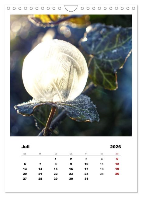 additionalImage12
