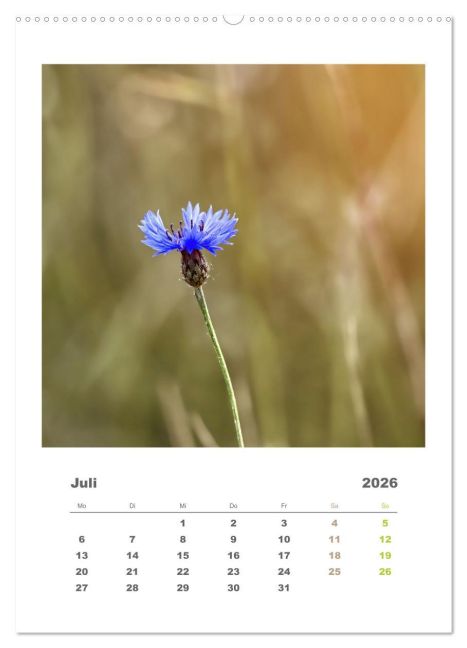 additionalImage12