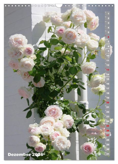 additionalImage4