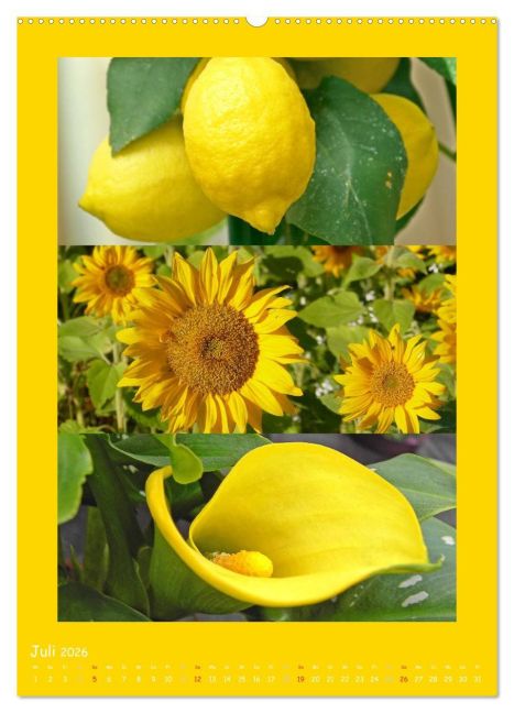 additionalImage11