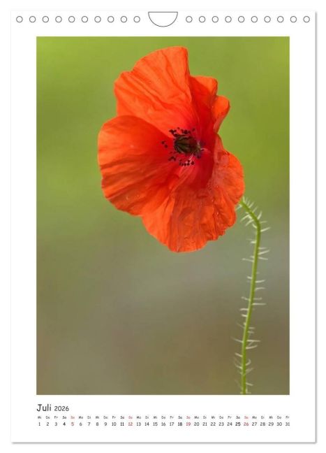 additionalImage12