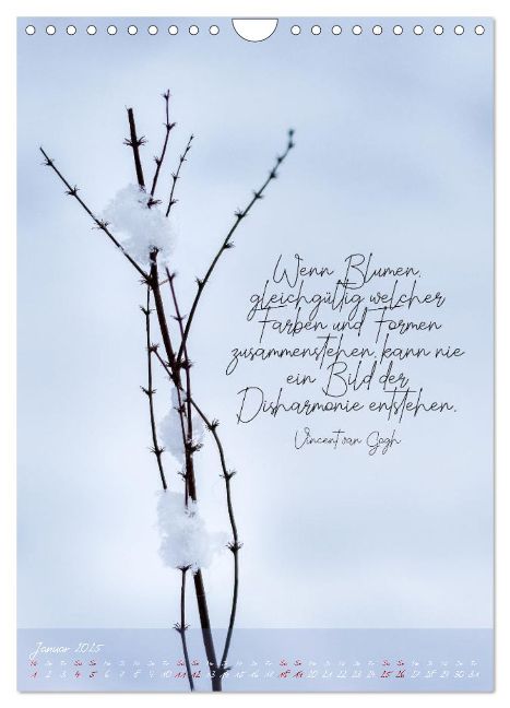 additionalImage6