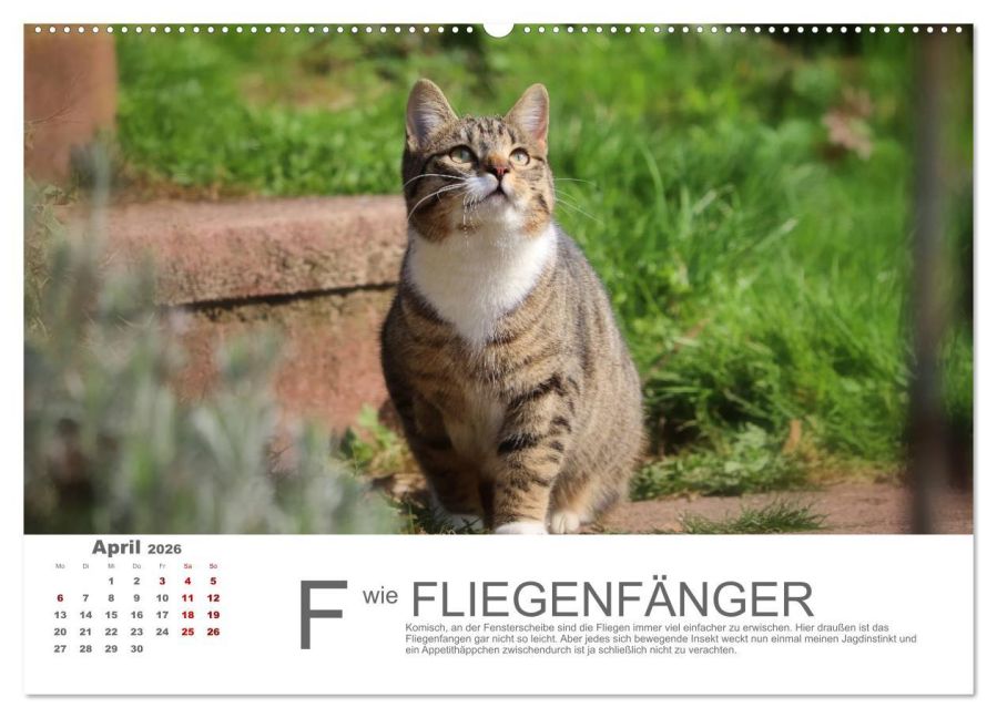 additionalImage8