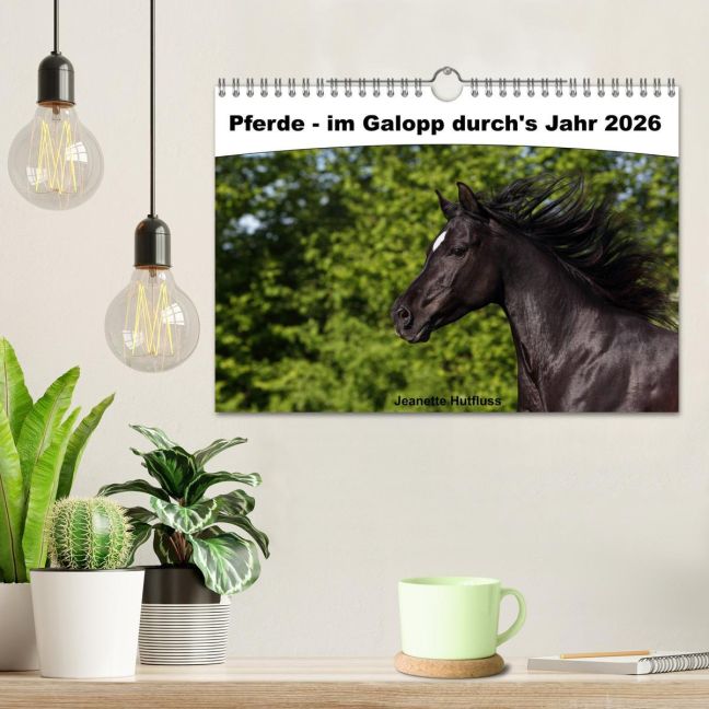 additionalImage1