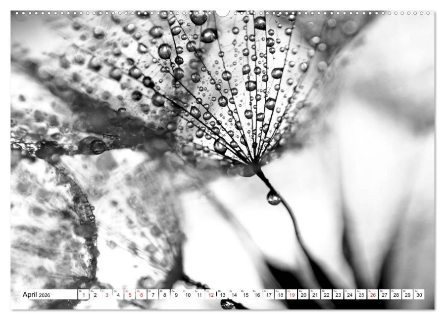additionalImage9