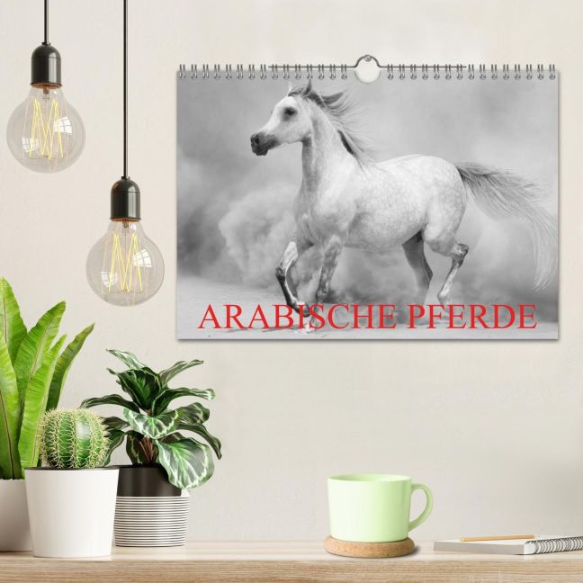 additionalImage1
