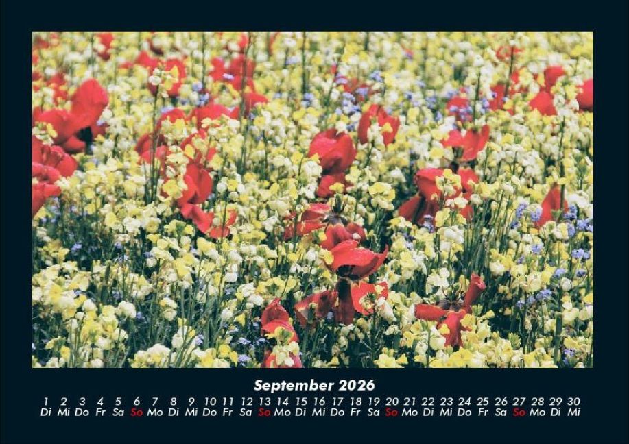 additionalImage1