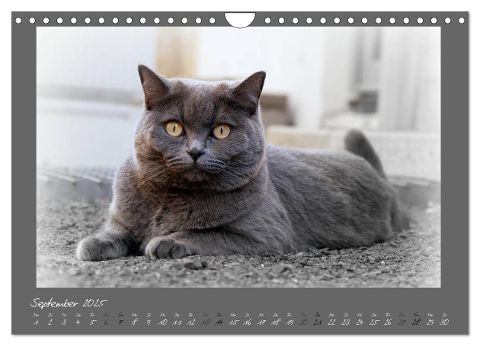 additionalImage14