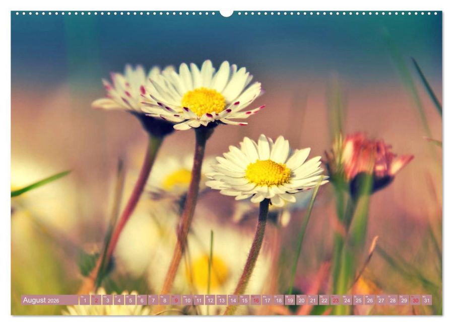 additionalImage13