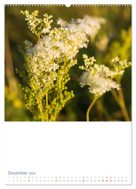 additionalImage3