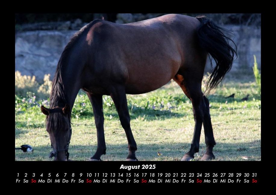 additionalImage12